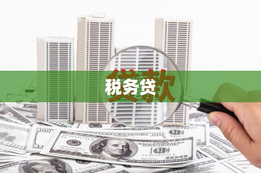 拉孜税务贷