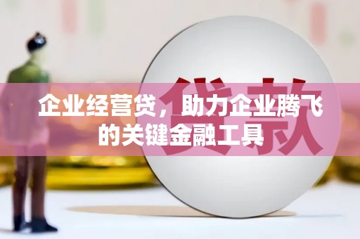 拉孜企业经营贷，助力企业腾飞的关键金融工具