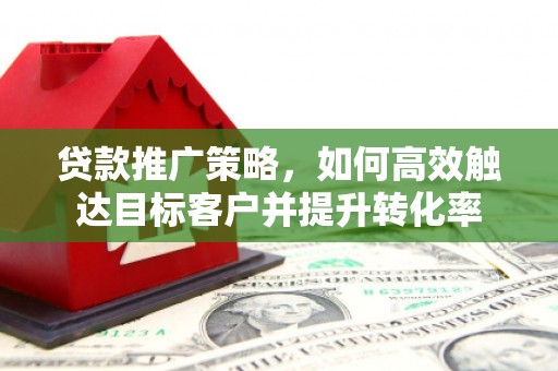 拉孜贷款推广策略，如何高效触达目标客户并提升转化率