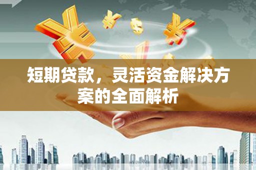 拉孜短期贷款，灵活资金解决方案的全面解析