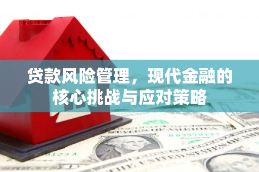 拉孜贷款风险管理，现代金融的核心挑战与应对策略