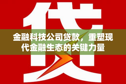 拉孜金融科技公司贷款，重塑现代金融生态的关键力量