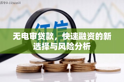 拉孜无电审贷款，快速融资的新选择与风险分析