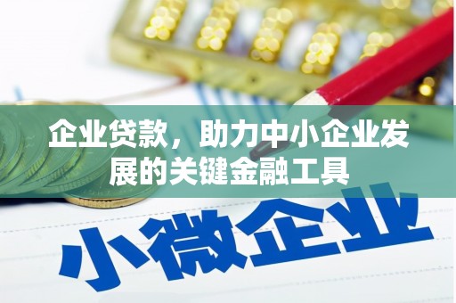 拉孜企业贷款，助力中小企业发展的关键金融工具
