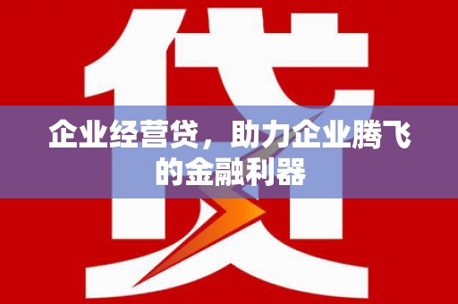 拉孜企业经营贷，助力企业腾飞的金融利器