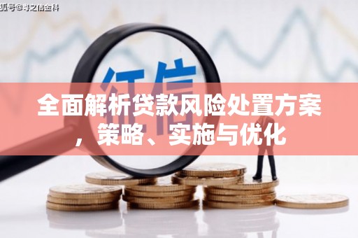 拉孜全面解析贷款风险处置方案，策略、实施与优化