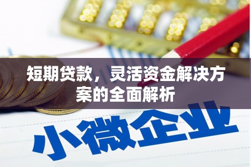 拉孜短期贷款，灵活资金解决方案的全面解析
