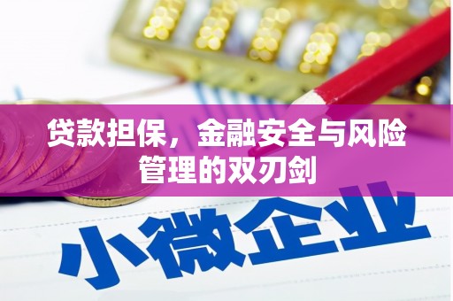 拉孜贷款担保，金融安全与风险管理的双刃剑