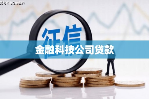 拉孜金融科技公司贷款
