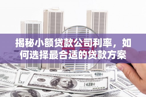 拉孜揭秘小额贷款公司利率，如何选择最合适的贷款方案