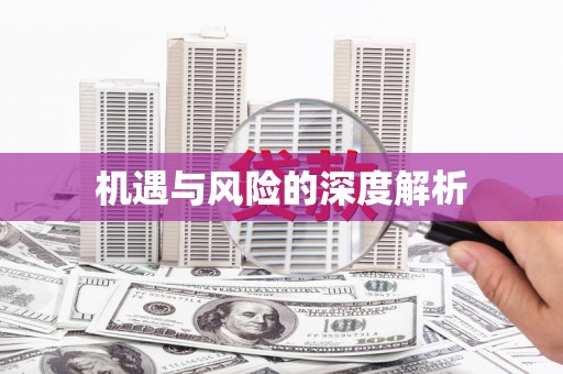 拉孜机遇与风险的深度解析