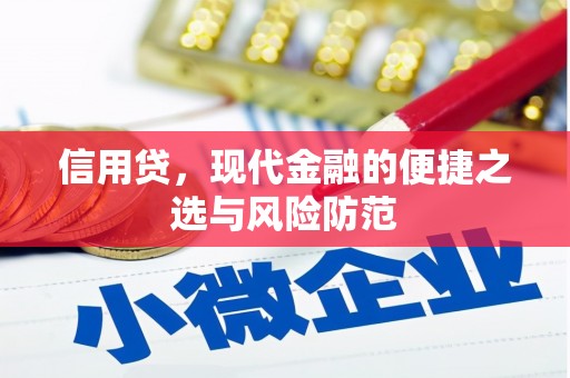 拉孜信用贷，现代金融的便捷之选与风险防范