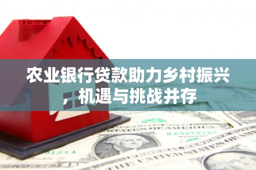 拉孜农业银行贷款助力乡村振兴，机遇与挑战并存