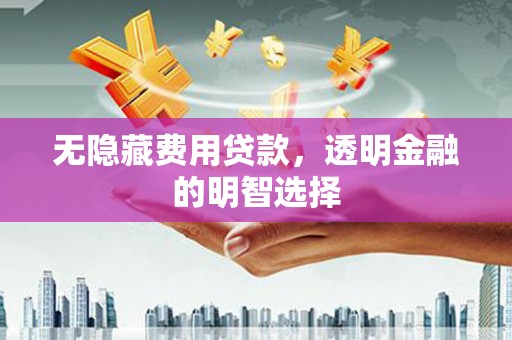 拉孜无隐藏费用贷款，透明金融的明智选择