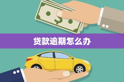 拉孜贷款逾期怎么办