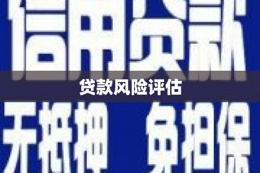 拉孜贷款风险评估