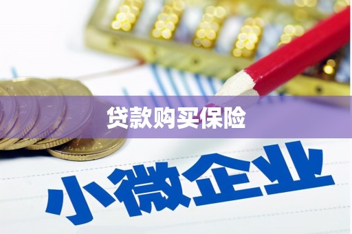 拉孜贷款购买保险