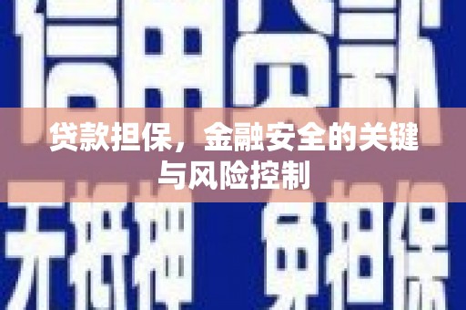 拉孜贷款担保，金融安全的关键与风险控制