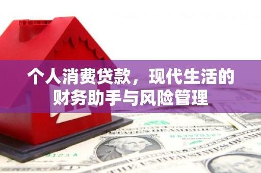 拉孜个人消费贷款，现代生活的财务助手与风险管理