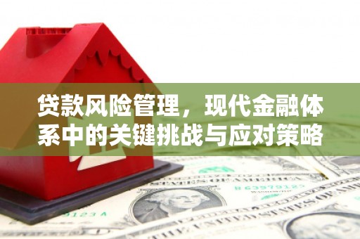 拉孜贷款风险管理，现代金融体系中的关键挑战与应对策略