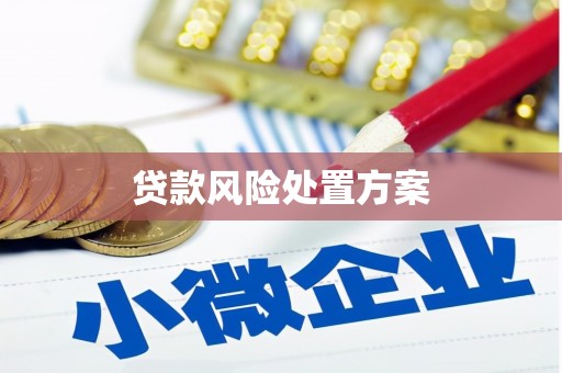拉孜贷款风险处置方案