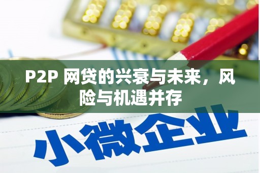 拉孜P2P 网贷的兴衰与未来，风险与机遇并存