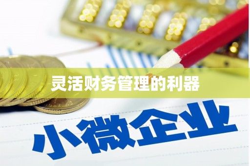 拉孜灵活财务管理的利器