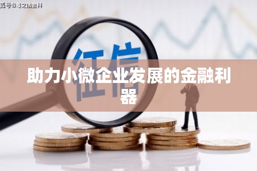 拉孜助力小微企业发展的金融利器