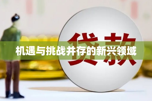 拉孜机遇与挑战并存的新兴领域