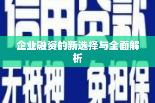 拉孜企业融资的新选择与全面解析
