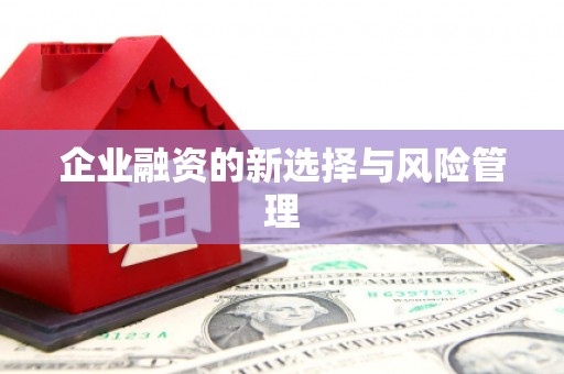 拉孜企业融资的新选择与风险管理