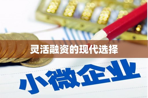 拉孜灵活融资的现代选择