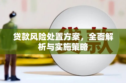 拉孜贷款风险处置方案，全面解析与实施策略