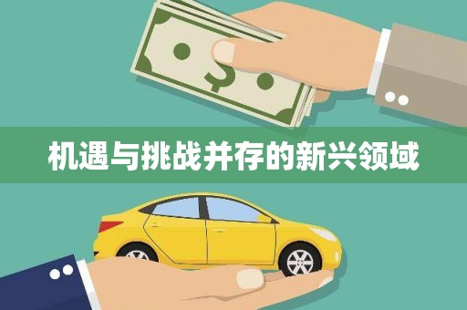 拉孜机遇与挑战并存的新兴领域