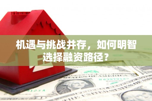 拉孜机遇与挑战并存，如何明智选择融资路径？
