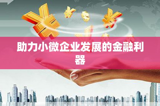 拉孜助力小微企业发展的金融利器