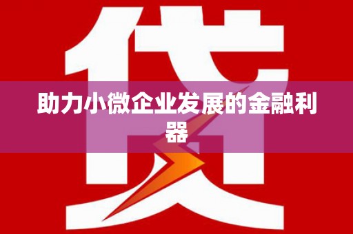 拉孜助力小微企业发展的金融利器