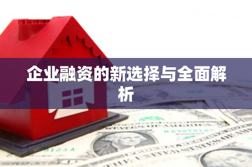 拉孜企业融资的新选择与全面解析
