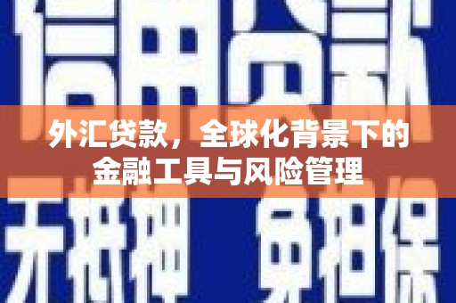 拉孜外汇贷款，全球化背景下的金融工具与风险管理