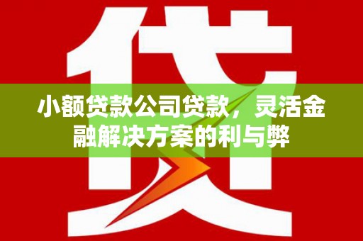 拉孜小额贷款公司贷款，灵活金融解决方案的利与弊