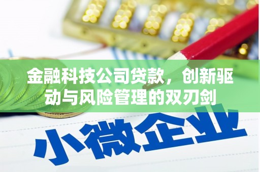 拉孜金融科技公司贷款，创新驱动与风险管理的双刃剑